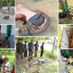 Hilang Satu Hari, Pria Diduga Depresi Ditemukan Tewas Mengambang Di sungai Cimandiri
