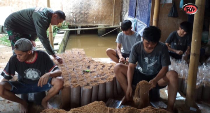 Babinsa Babakan Koramil 0607-09/Cisaat, Komsos Dengan Petani Jamur Tiram