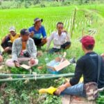 Komsos Babinsa Gunungguruh Dan Petani Bahas Upaya Peningkatan Hasil Pertanian