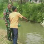 Pererat Silaturahmi Babinsa Cipetir Koramil 09/Cisaat Komsos Bersama Peternak Ikan