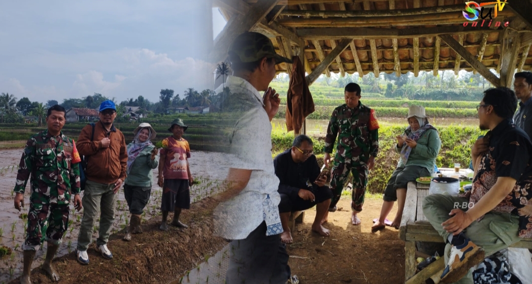 Babinsa Sukaresmi Koramil 09/Cisaat, Komsos dengan PPL Dukung Peningkatan Swasembada Pangan