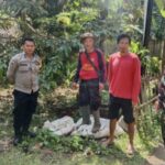 Melalui Giat Komsos, Babinsa Desa Cibolang Koramil 09/Cisaat, Himbau Warga Jaga Kamtibmas Desa