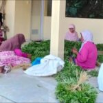 Komsos Dengan Petani Sayur, Bentuk Dukungan Babinsa Cipetir Koramil 09/Cisaat Terhadap Ketahanan Pangan Lokal