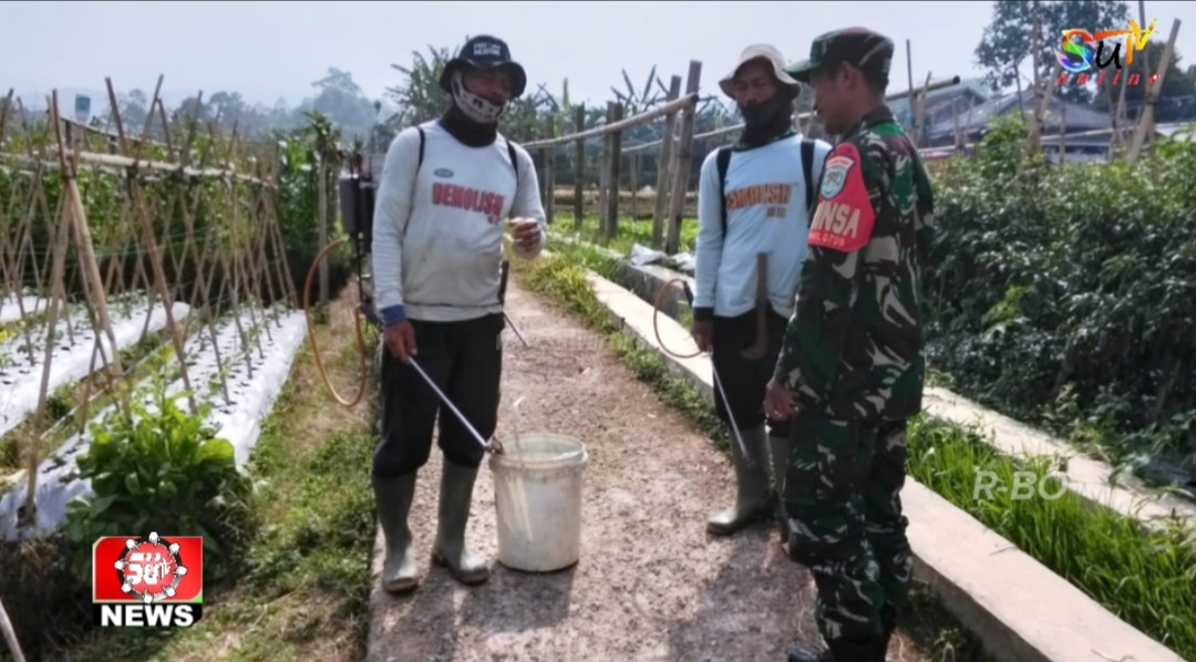 Babinsa Desa Cipetir Koramil 09/Cisaat Laksanakan Komsos Dengan Petani Sayur