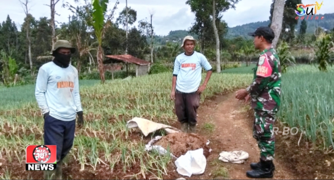 BABINSA CIPETIR KORAMIL 09/CISAAT MELAKSANAKAN KEGIATAN KOMSOS DENGAN WARGA BERPROFESI PETANI