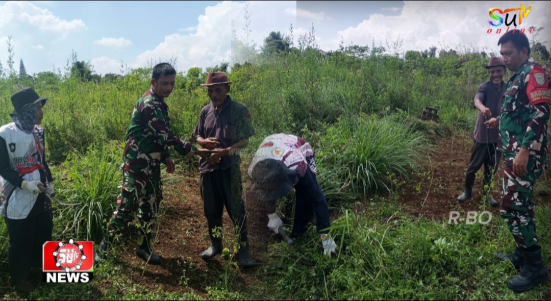 Di Lokasi Kebun Garapan, Babinsa Desa Babakan Jalin Komsos Dengan Kelompok Tani