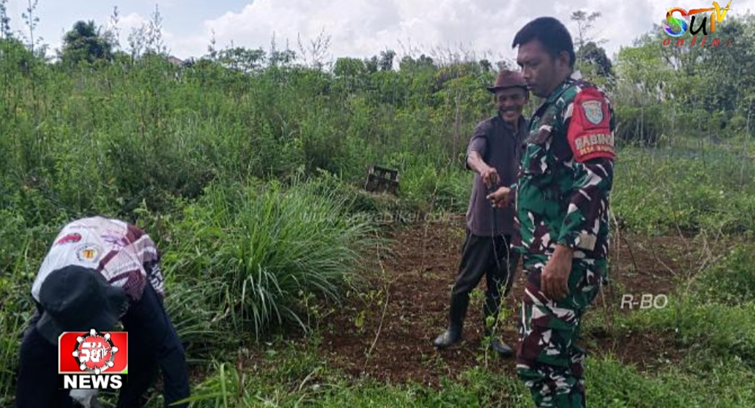 Himbau petani Agar Tidak Membakar Lahan, Babinsa Desa Babakan Koramil 09/Cisaat Komsos Dengan Anggota Poktan